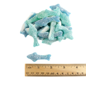 GUMMY SOUR SHARKS